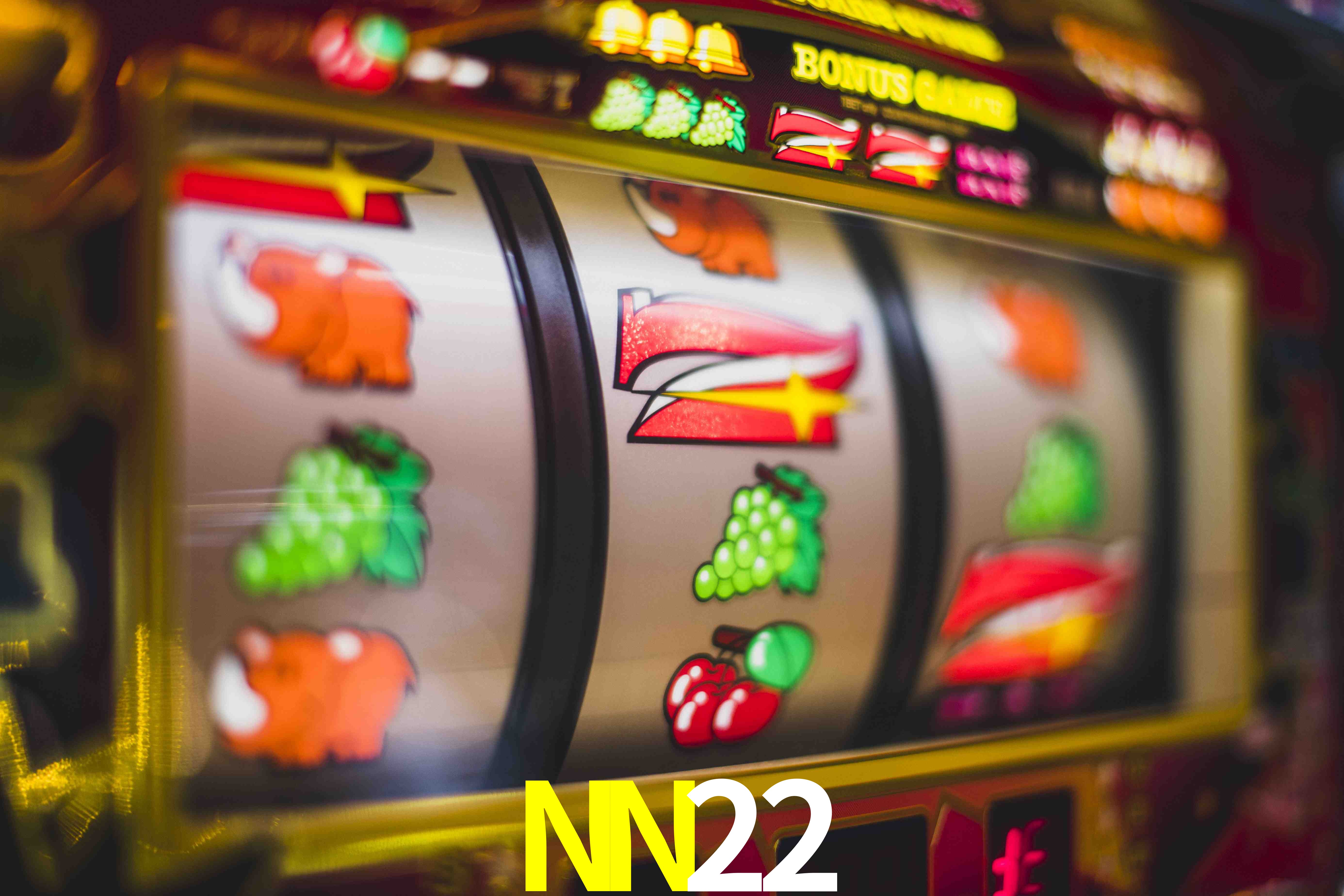 NN22 cadastro