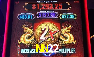 Programa VIP NN22